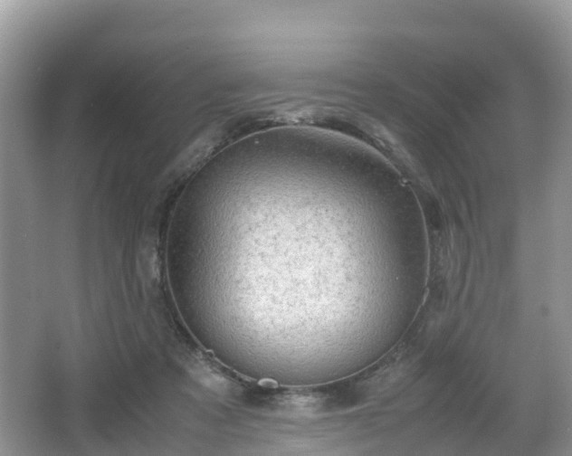 X0000067480313200604101236