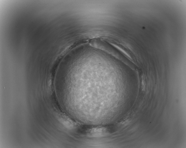 X0000067480314200604101236