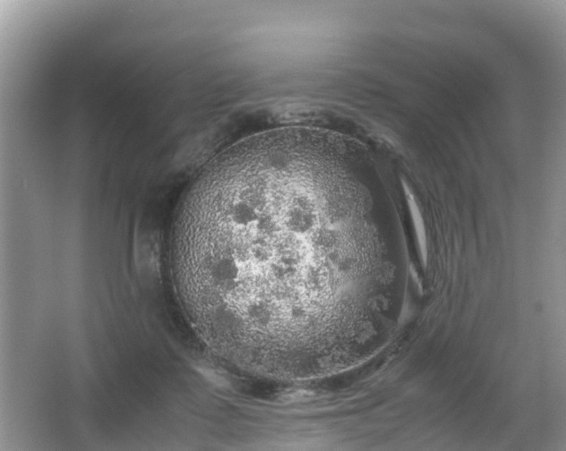 X0000067480315200604101236