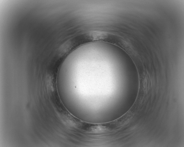 X0000067480316200604101236