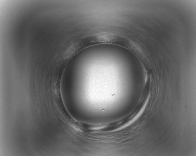 X0000067480317200604101236