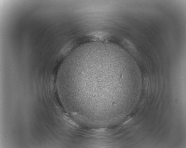 X0000067480318200604101236