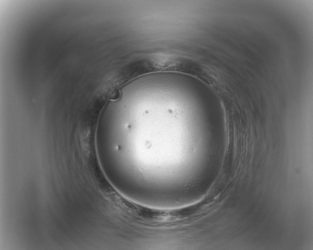 X0000067480319200604101236