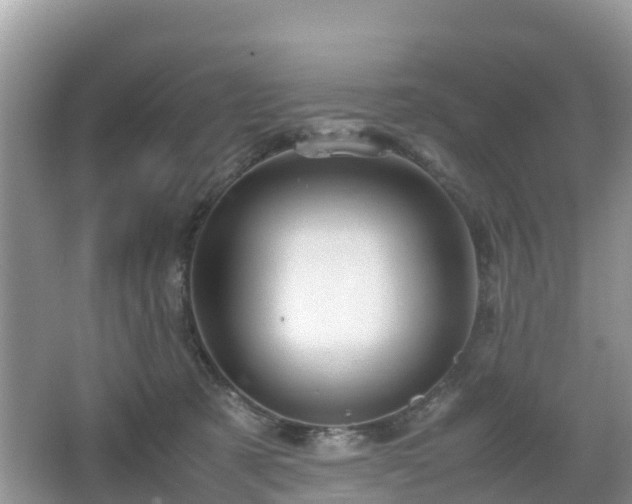 X0000067480321200604101236