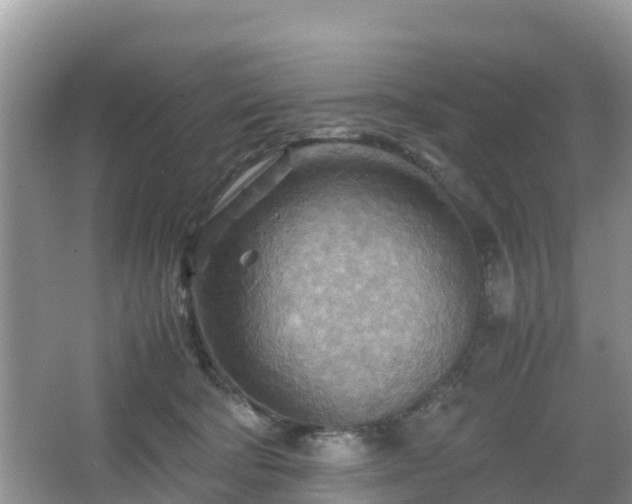 X0000067480322200604101236