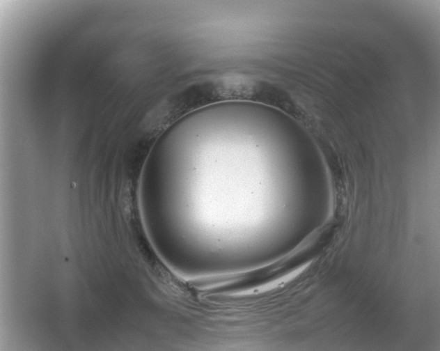 X0000067480323200604101236