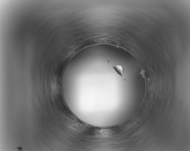 X0000067480324200604101236