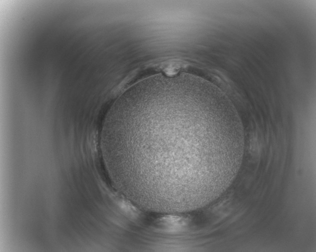 X0000067480326200604101236