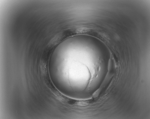 X0000067480327200604101236