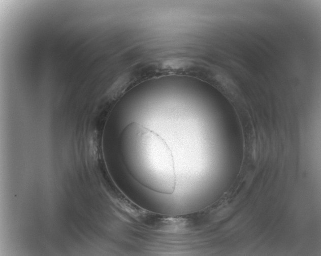 X0000067480328200604101236