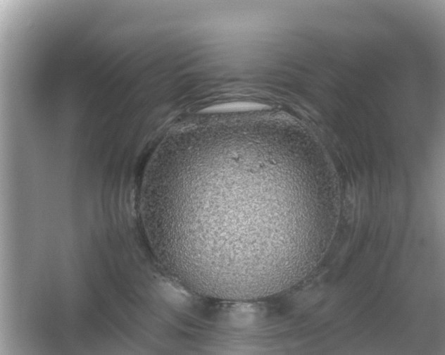 X0000067480330200604101236