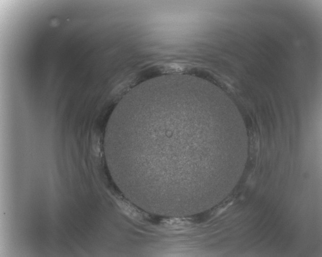 X0000067480331200604101236