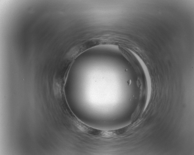 X0000067480333200604101236