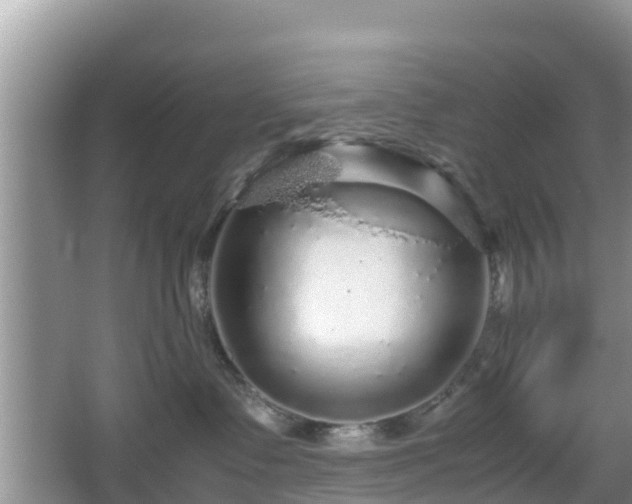 X0000067480335200604101236