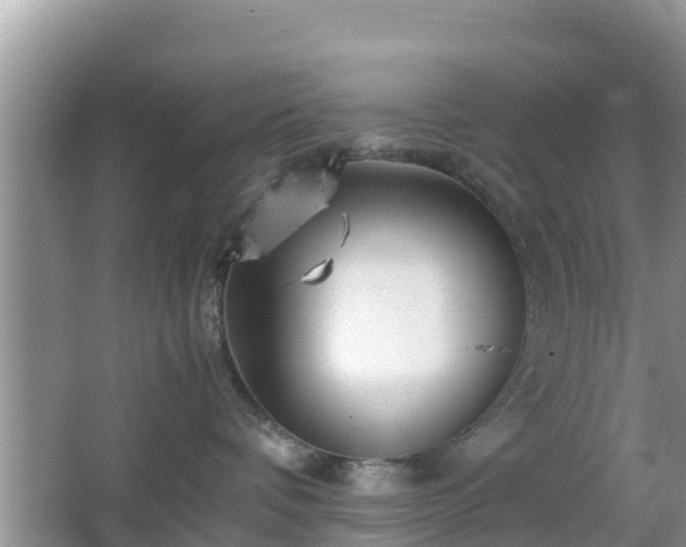 X0000067480336200604101235