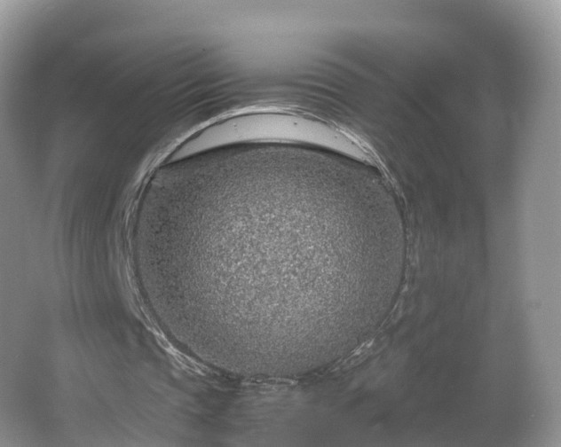 X0000067480337200604101235