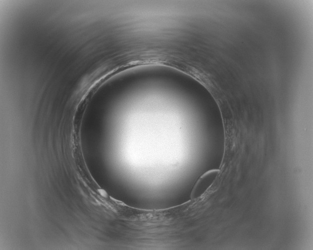 X0000067480338200604101235