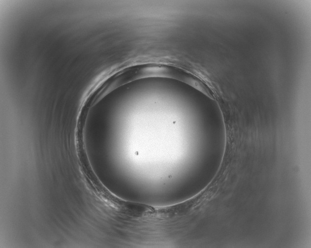 X0000067480340200604101235