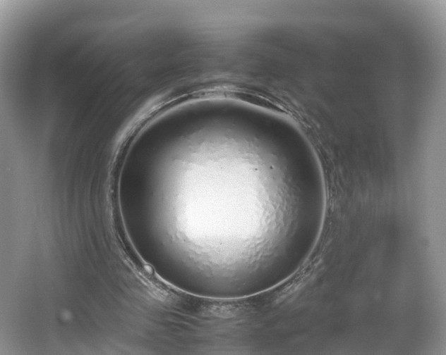 X0000067480341200604101235