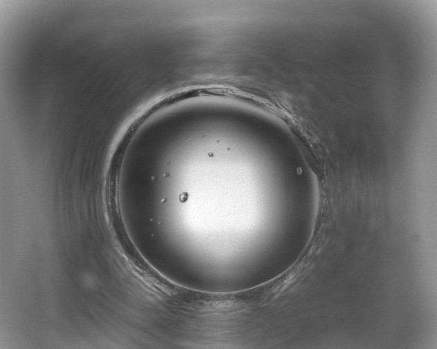 X0000067480342200604101235