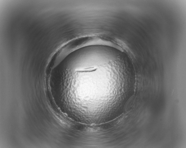 X0000067480346200604101235