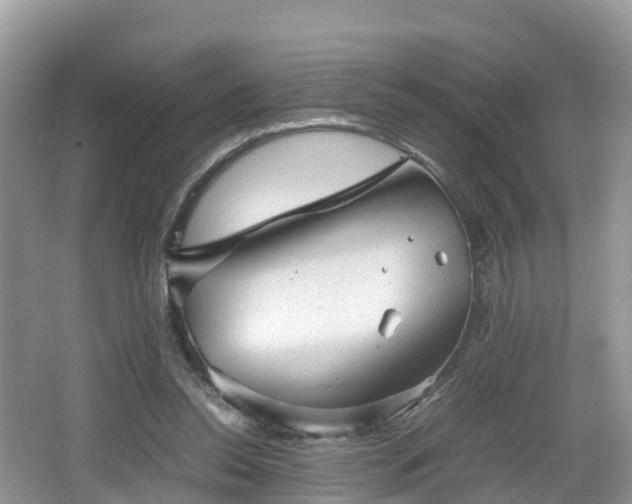 X0000067480350200604101235