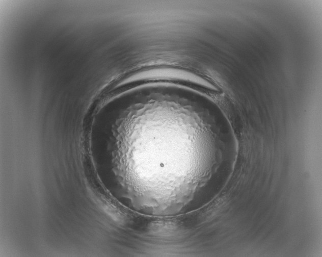 X0000067480354200604101235