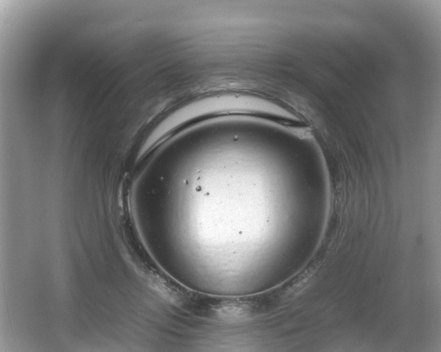 X0000067480358200604101235