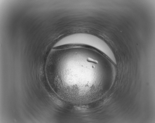 X0000067480359200604101235