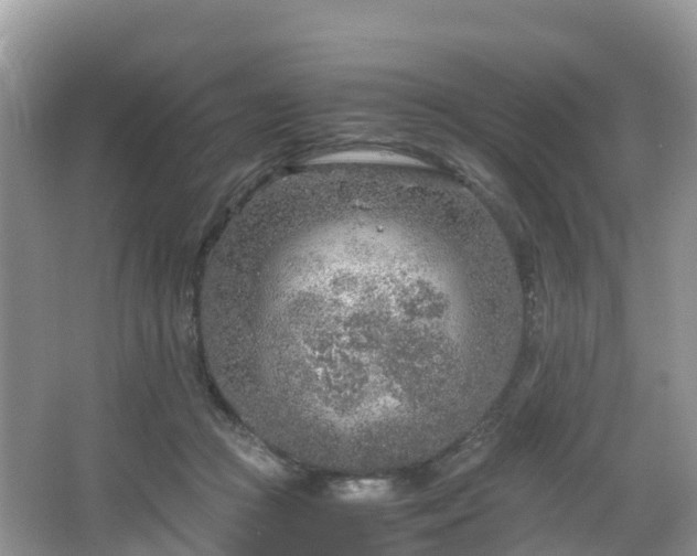 X0000067480361200604101235