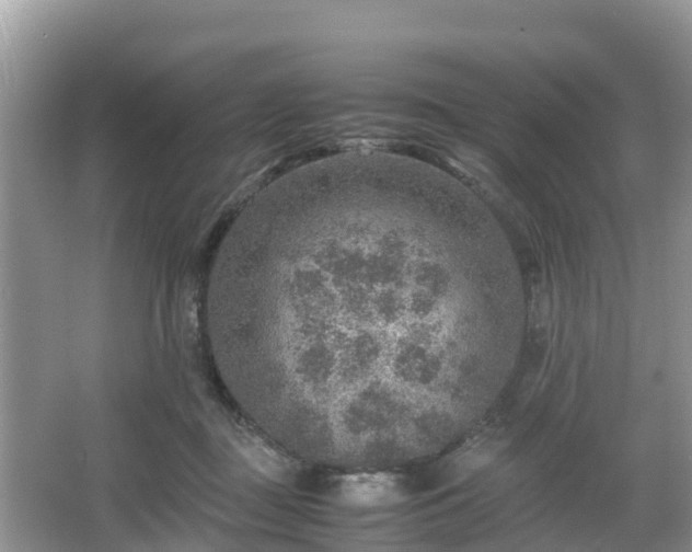 X0000067480363200604101235