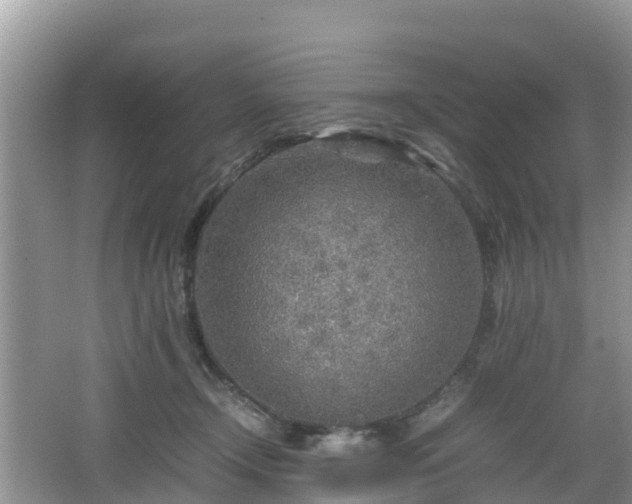 X0000067480366200604101235