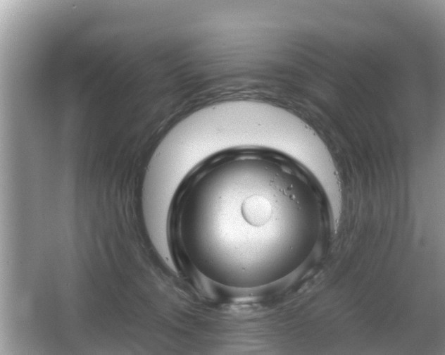 X0000067480372200604101235