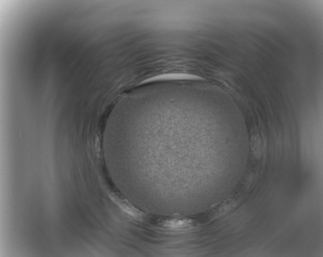 X0000067480375200604101235