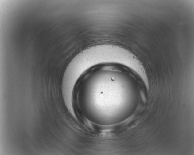 X0000067480376200604101235