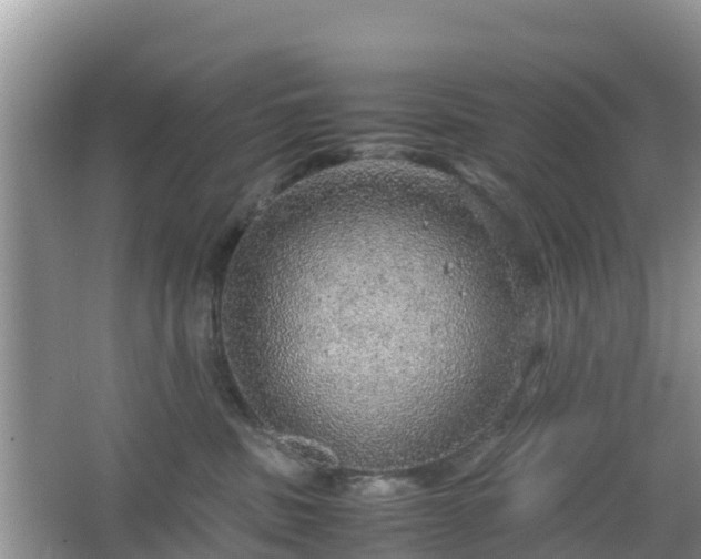 X0000067480379200604101235