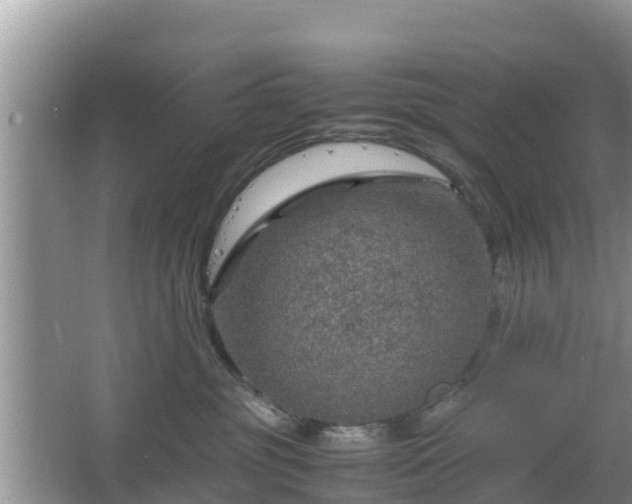 X0000067480381200604101235