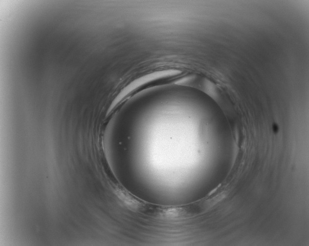 X0000067480382200604101235