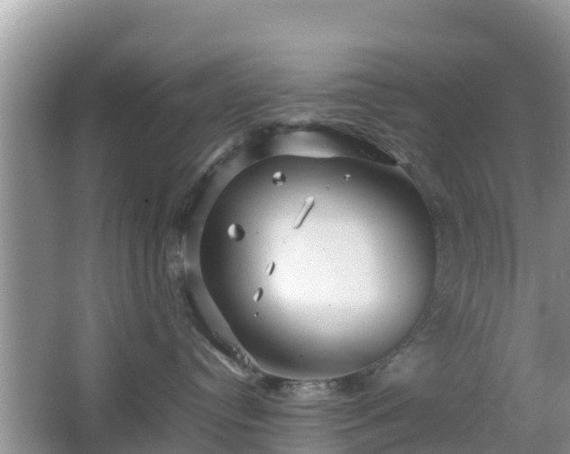 X0000067480384200604101235