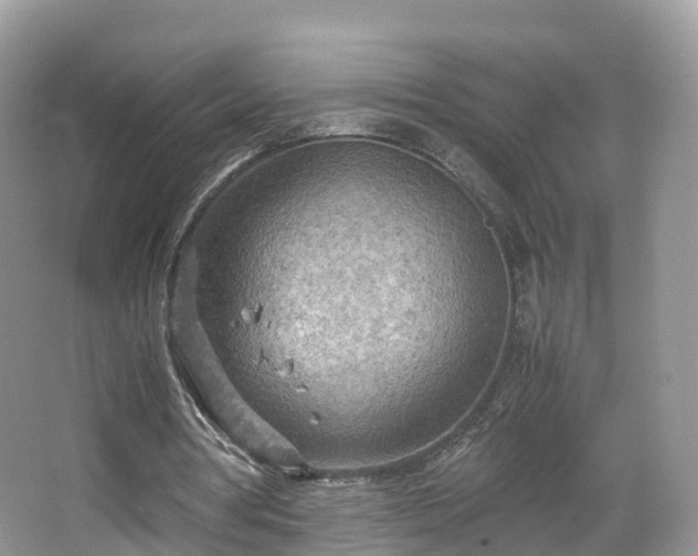 X0000067480386200604101235