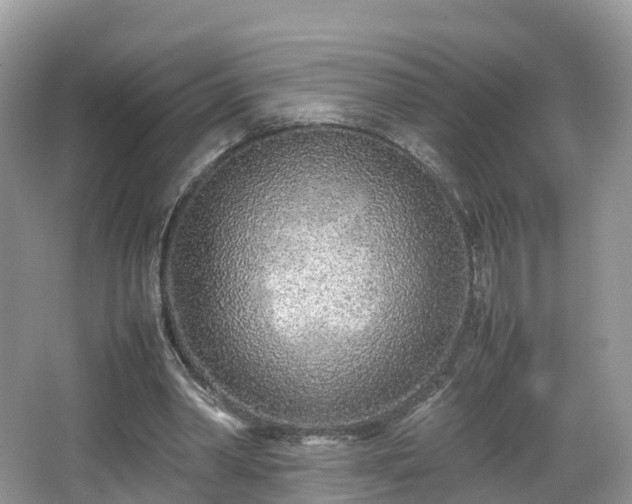 X0000067480390200604101235