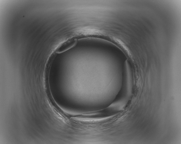 X0000067480391200604101235