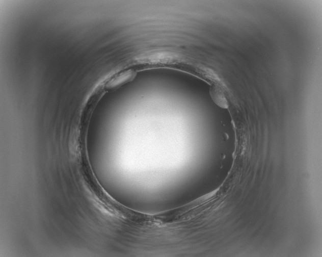 X0000067480392200604101235