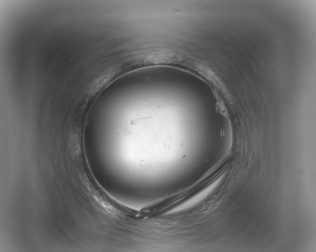 X0000067480393200604101235