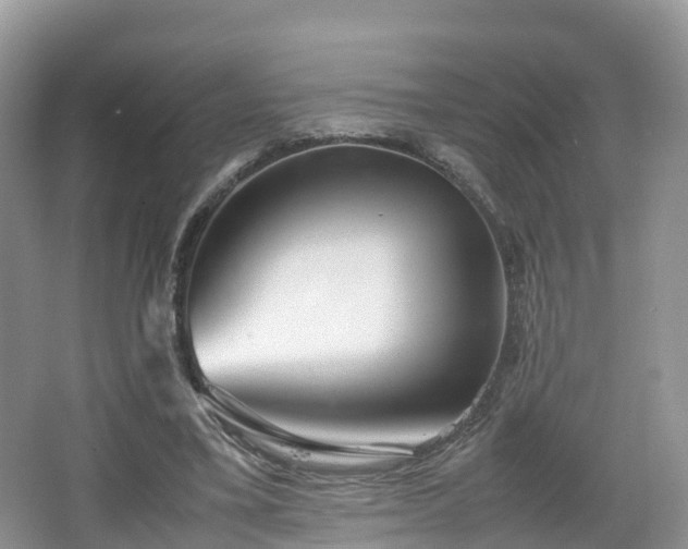 X0000067480395200604101235