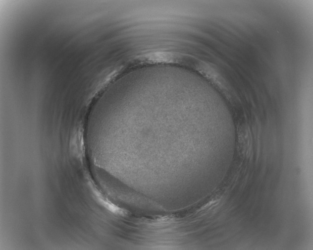 X0000067480398200604101234