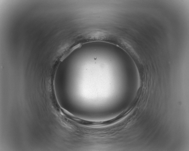 X0000067480403200604101234