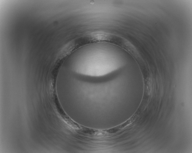 X0000067480410200604101234