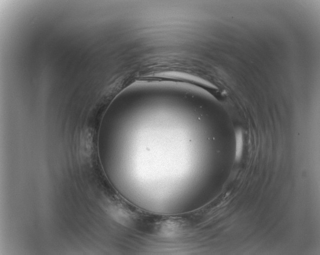 X0000067480412200604101234