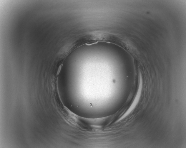 X0000067480413200604101234